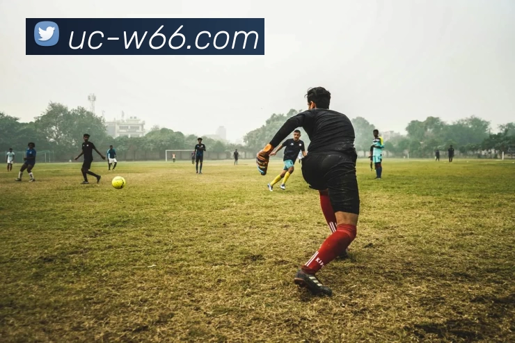 利来国际APP 封面图